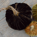 LoveFeast Table Blog