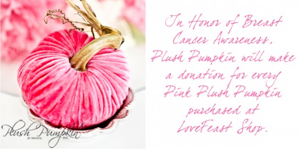 breast-cancer-donation---pink-pumpkin