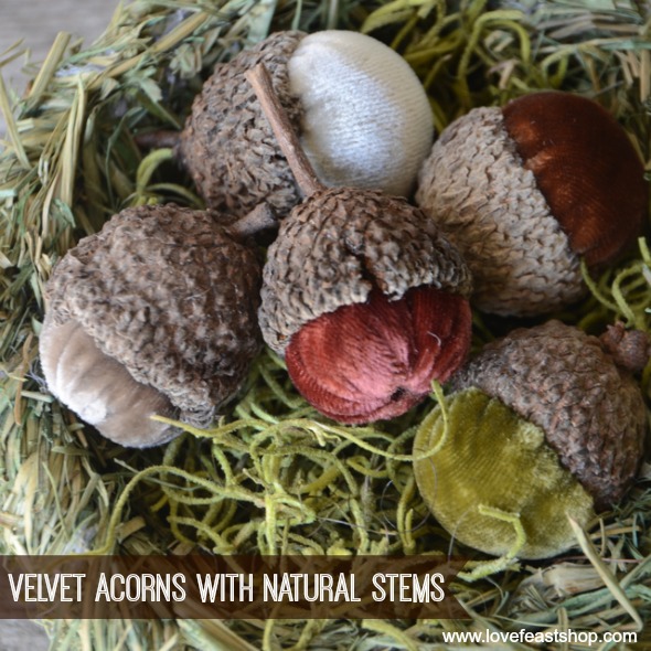 Velvet Acorn Nest www.lovefeastshop.com