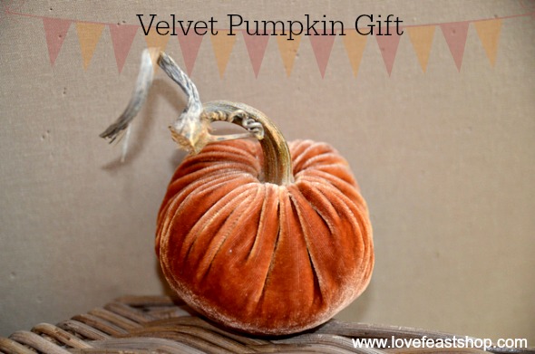 Velvet Pumpkin Gift www.lovefeastshop.com