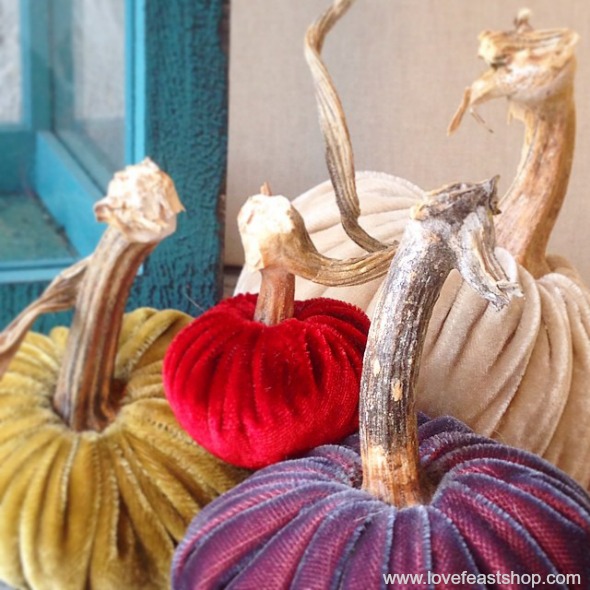 Velvet Pumpkins with real stems www.lovefeastshop.com