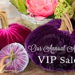 Our Annual August VIP Sale